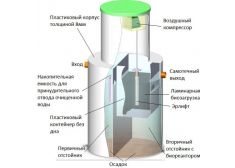 Панда Нала 2.5